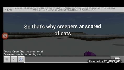 So Thats Why Creepers Ar Scared Of Cats Youtube