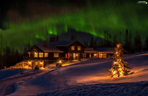 Aurora Polaris Night Snow Lightened House For Phone Wallpapers