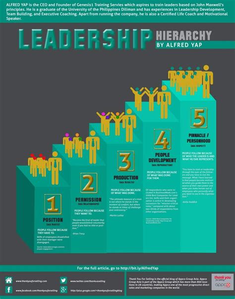 leadership hierarchy infographic portal leadership executive coaching leadership development