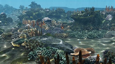 3d Model Underwater Coral Reef Habitat Ocean V3 Vr Ar Low Poly