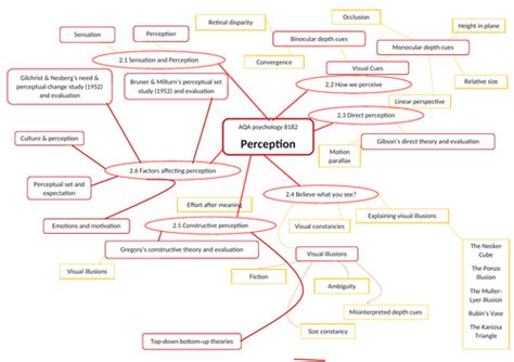Gcse Aqa Psychology Perception Revision Mind Map 8182 Teaching Resources