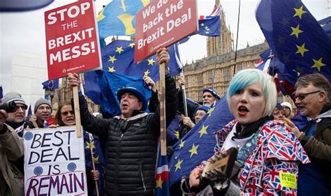 Brexit News Remainers Brexit Plot Revealed As Target Voters For Second Referendum Politics