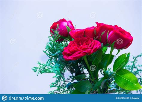 A Bunch Of Red Roses On Clear White Background Stock Image Image Of