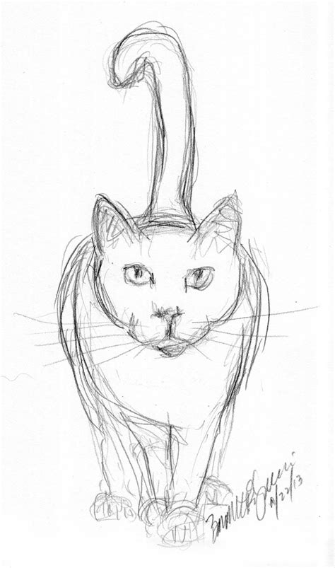 Pencil Sketch Of Cat Pencil Drawings Easy Art Drawings Sketches