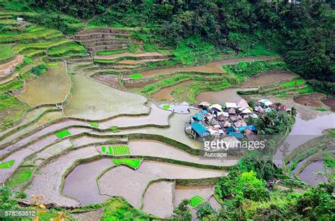 Bontoc Photos And Premium High Res Pictures Getty Images