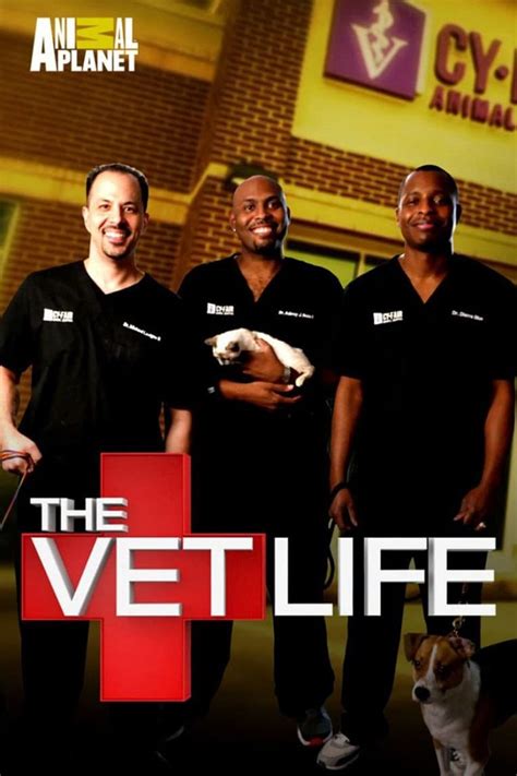The Vet Life Season 7 Release Date Time And Details Tonightstv