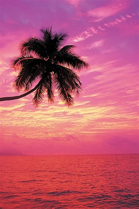 Download Rainbow Sunset Beach Wallpaper By Mdyer Sunset Ocean