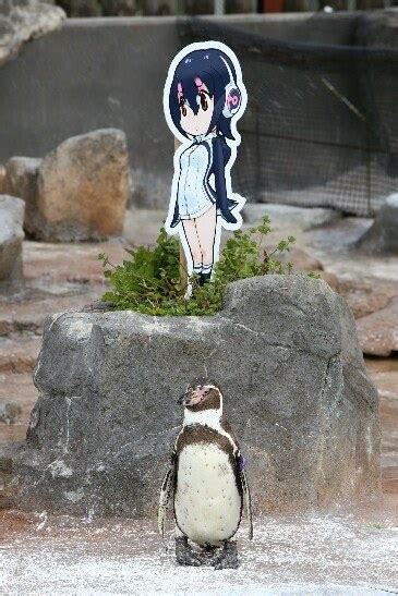 This Story About A Penguin Falling In Love With An Anime Cutout Is An