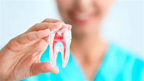 Las Muelas Del Juicio ¿qué Hay Que Saber Dental Tutor