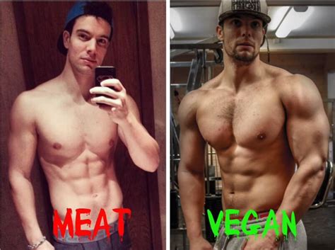 15 Amazing Vegan Bodybuilder Best Product Reviews