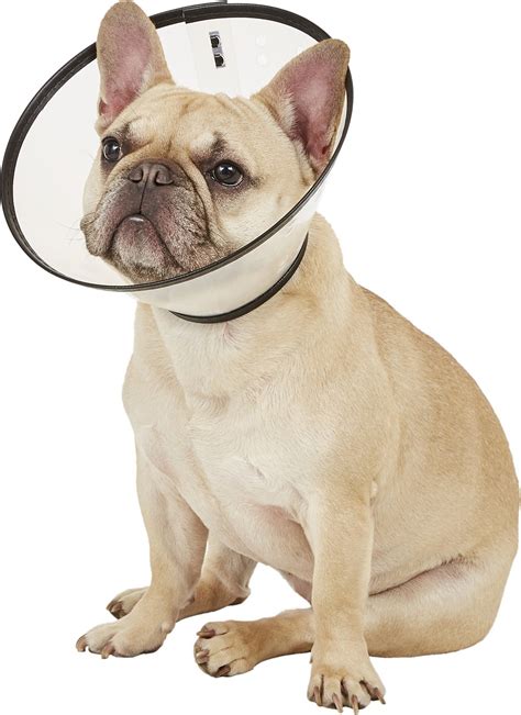 Easier and more comfortable than the cone of shame. Remedy+Recovery Dog E-Collar, Medium - Chewy.com