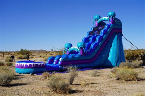 19 Ft Electric Jelly Fish Water Slide Pickett Inflatables Llc