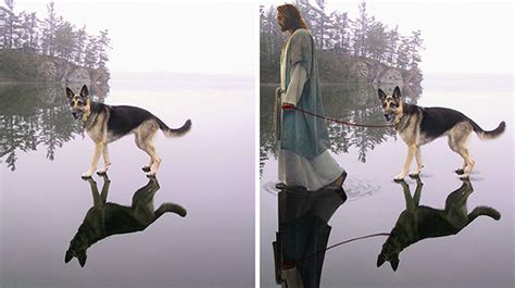 50 Best Pics From The Best Photoshop Battles Ever DeMilked