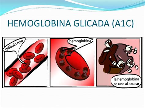 Sobre A Determinação Da Hemoglobina Glicada Assinale A Alternativa Incorreta