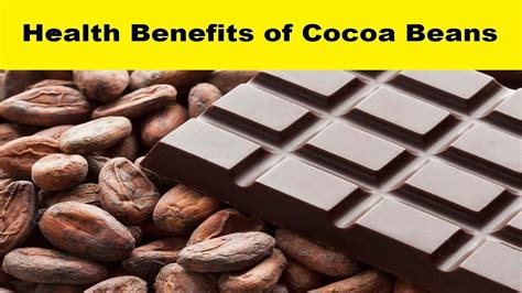Health Benefits Of Cocoa Beans Cocoa Beans Cacao Benefits Cacao