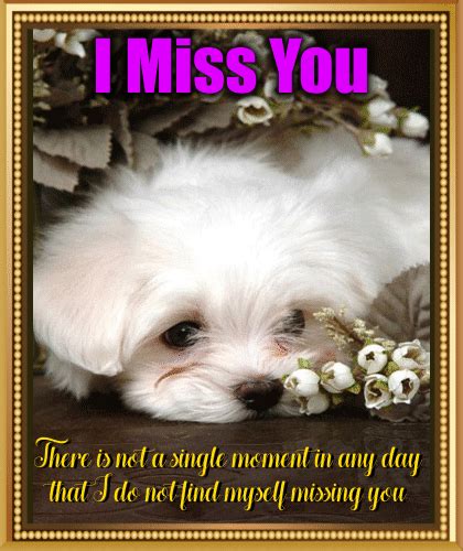 A Cute Miss You Ecard Free Miss You Ecards Greeting Cards 123 Greetings
