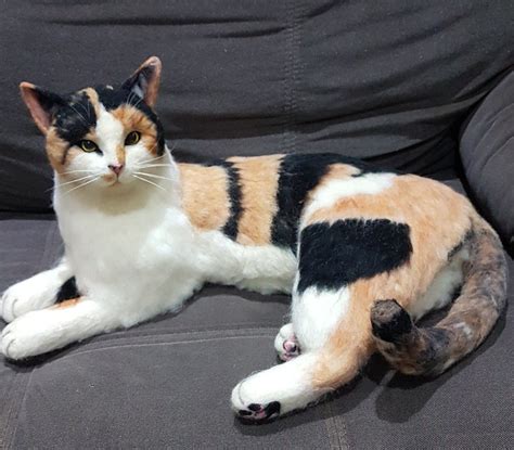 Needle Felted Beautiful Calico Cat In 2020 Felt Cat Calico Cat