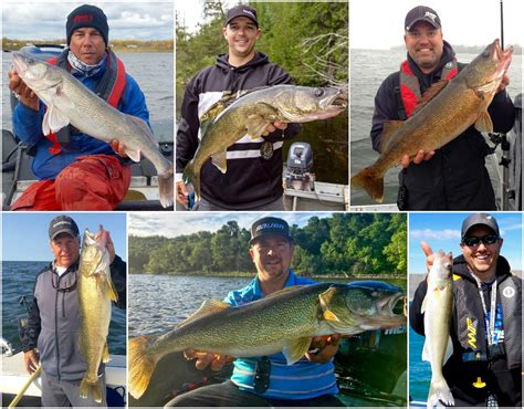 6 Canadian Walleye Pros Reveal Their Secret Go To Baits Page 6 Of 7