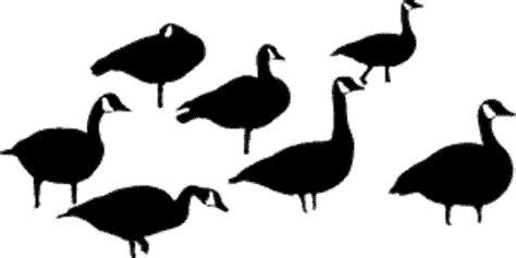 Standing Geese Decal - Standing Geese Sticker - 2031 ...
