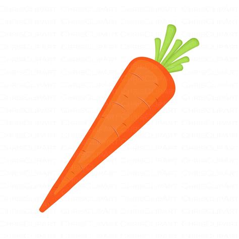 Carrot svg Clipart Carrot Cricut carrot Easter Graphics | Etsy