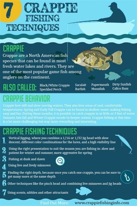 Crappie Fishing Techniques Infographic How To Fish For Crappie Plus