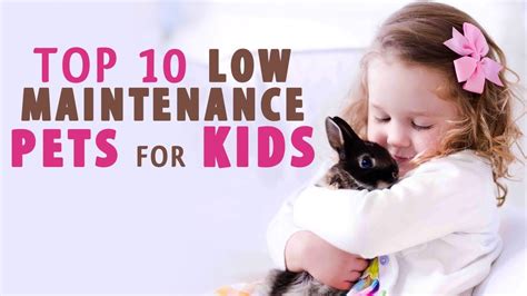 Low Maintenance And Best Pets For Kids Youtube