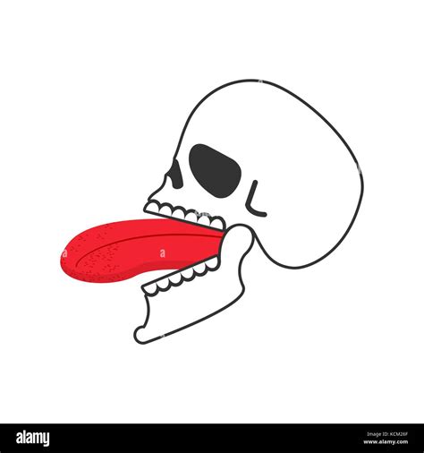 Skull Open Mouth And Tongue Head Of Skeleton Open Mouth Vector