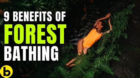 9 Health Benefits Of Forest Bathing And Why You Need To Try It In 2022 Health Video Benefits