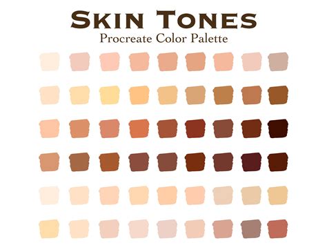 Skin Tones Procreate Color Palette Light To Dark Skin Shade Swatches Instant Download