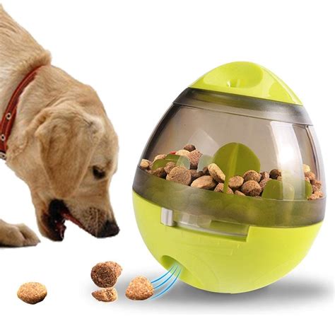 Top 10 Budget Friendly Dog Treat Dispensers For Playful Dogs