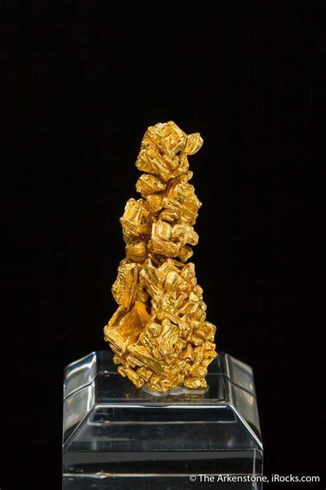 Gold Jb17 1921 Serra De Caldeirao Brazil Mineral