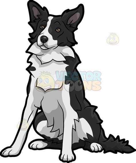 Collie Cliparts Free Download On Clipartmag