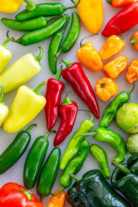 25 Types Of Peppers To Know Jessica Gavin