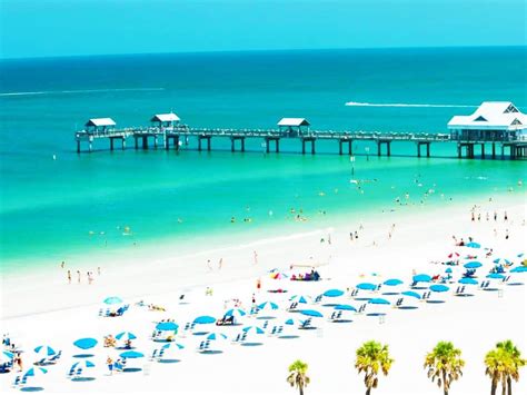 Top 5 Playas Más Bonitas De Florida ᐈ 2024