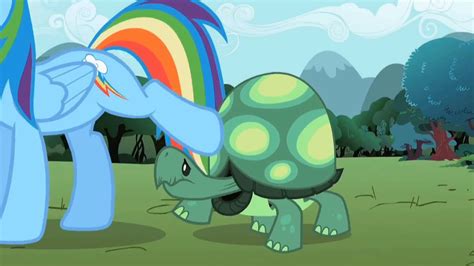 The mystery grows at sunrise when the entire town and the ponies in it are revealed to have been drained of color. My little pony песня Радуги(Rainbow Dash) и Флаттершай ...