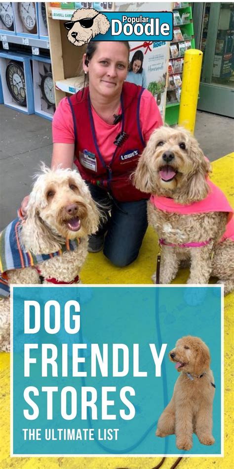 The Ultimate Dog Friendly Stores List: 38 Major Retail Stores That