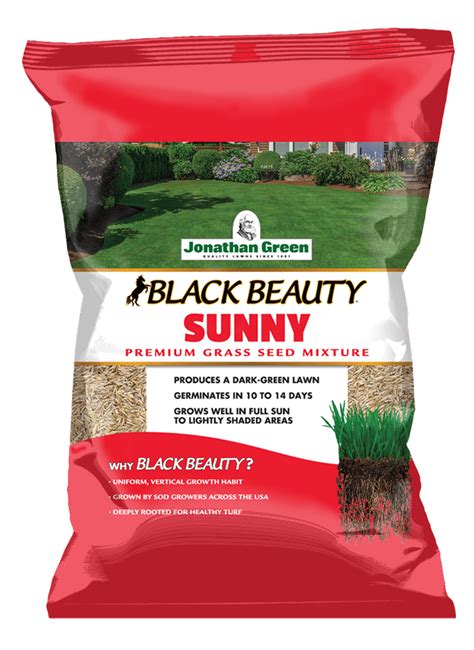 Black Beauty Sunny Grass Seed L Jonathan Green