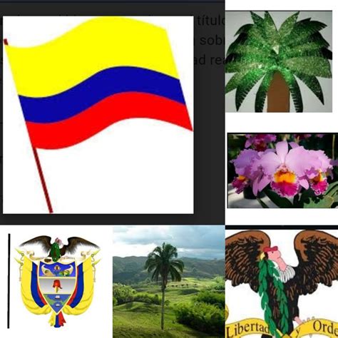 Las Mejores 7 Ideas De Simbolos Patrios De Colombia Simbolos Patrios De