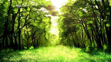 Bright Forest Wallpapers Wallpaper Cave