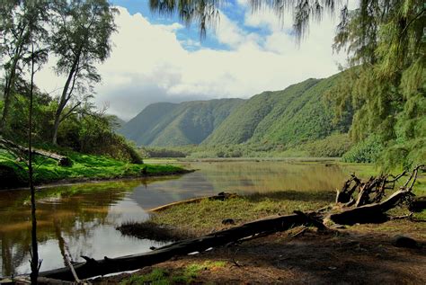 Hawaiian Valley, Big Island Hawaii! Cant remember the exact hike but it ...