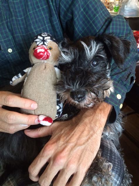 Looking for a good deal on daddy christmas? Oscar, daddy, and CHRISTMAS gift from Grandma Freeman ...