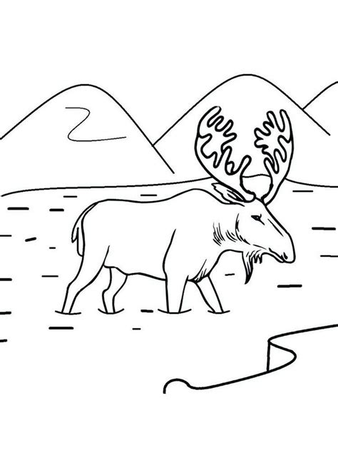 Moose Coloring Pages For Preschoolers Coloring Pages