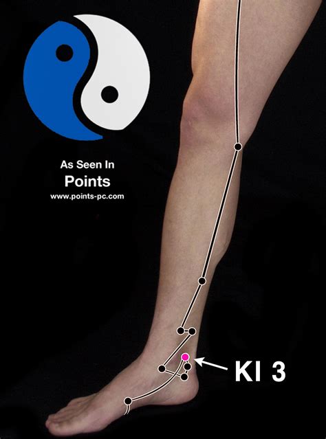 Acupuncture Point Kidney 3 Ki 3 Acupuncture Technology News