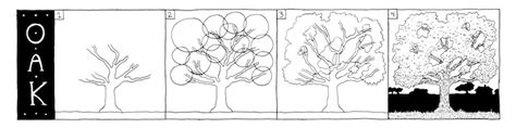 Aprende Como Hacer Dibujos De Tres Tipos De árboles Roble Pino Y Palmera