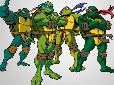 Teenage Mutant Ninja Turtles 2003 Teenage Mutant Ninja Turtles Art