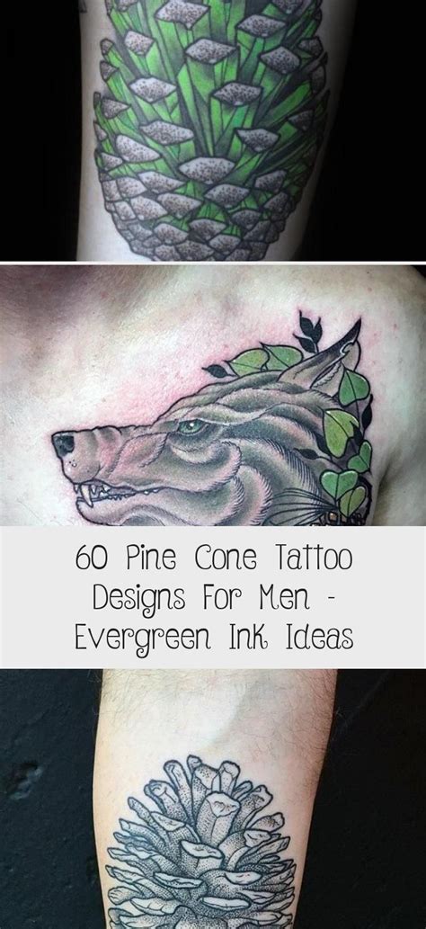 60 Pine Cone Tattoo Designs For Men Evergreen Ink Ideas Tattoos And