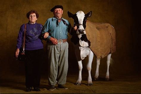 Fond D Cran Gratuit T L Charger Download Free Wallpaper Vache Holando Argentino Farm