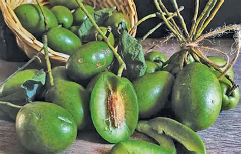 Top 20 Famous Fruits Of Assam With Names And Images