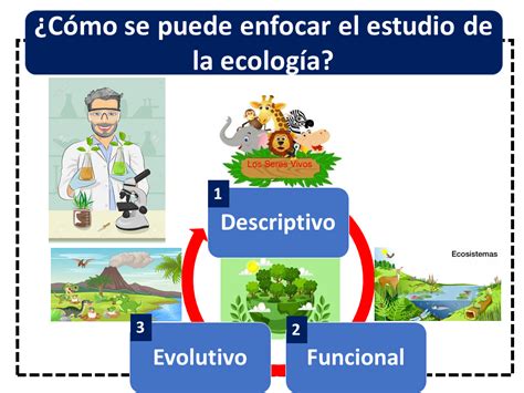 Ecolog A Qu Es Definici N Y Concepto