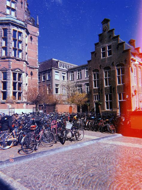 University Of Groningen In